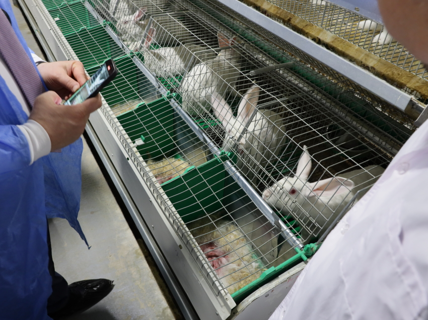 Забайкальцы вновь покажут свои товары на выставке «100 Лучших товаров России» - прием заявок открыт 